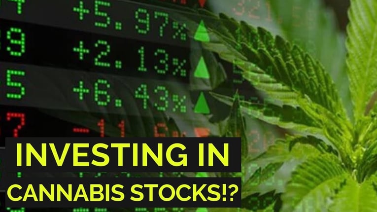 CANNABIS STOCK - EFFECT MARKET-1