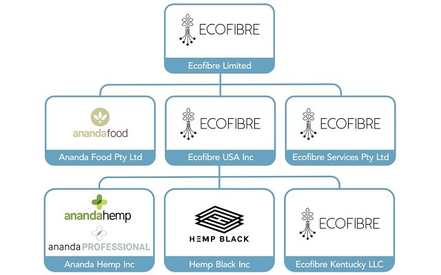 Ecofibre - Report