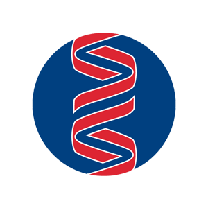 sonic shl